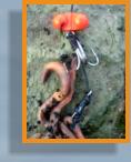 Montura momeala smoc rime pescuit la somn